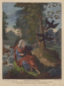Eliáš krmený havrany (barva litho) od English School
