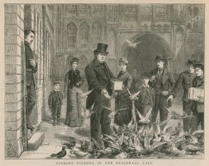 Krmení holubů na dvoře Guildhall od English School