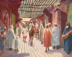 Fez, Stínovaná ulice (barevná litografie) od English School