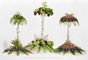První cena za stolní dekorace, Royal Horticultural Society, 1851 od English School