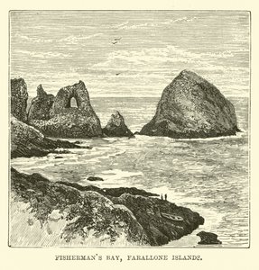 Fishermans Bay, Farallonské ostrovy od English School