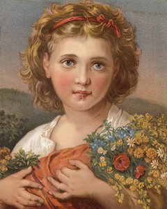 Polní květy (barva lito) od English School