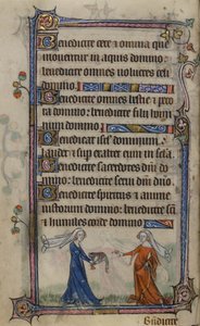 Folio 75v ilustrace z 