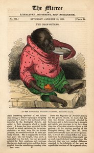 Přední strana The Mirror z 13. ledna 1838 oslavující přílet orangutana do zahrad Zoologické společnosti v Regent