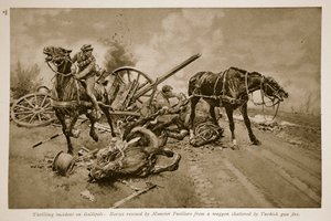 Gallipoli: Koně zachránění munsterskými vojáky z vozu roztříštěného tureckou palbou, 1914-19 od English School