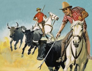 Gardiané z Camargue od English School