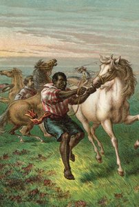 Garibaldiho vojáci lámající divoké koně od English School