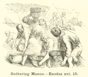 Shromažďování Manny, Exodus, xvi, 15 od English School