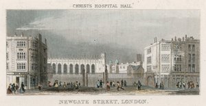 Celkový pohled na Christs Hospital od English School