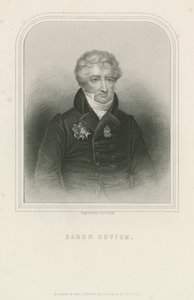 Georges Cuvier , francouzský přírodovědec a zoolog (rytina) od English School