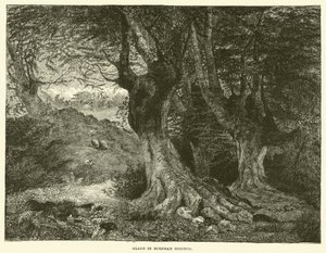 Glade in Burnham Beeches (rytina) od English School