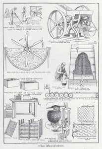 Výroba lepidla (litho) od English School