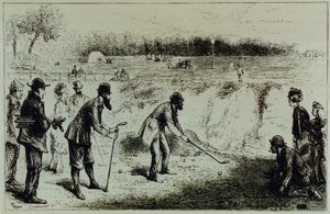 Golf od English School