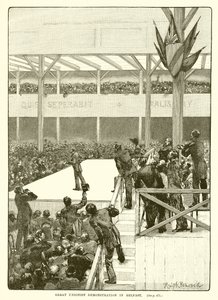 Velká unionistická demonstrace v Belfastu, 1890 od English School