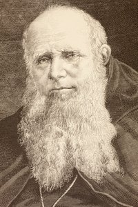 Guglielmo Massaia (litho) od English School