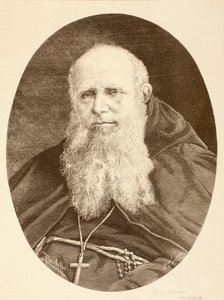 Guglielmo Massaia (litho) od English School