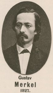 Gustav Merkel (rytina) od English School
