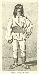 Cikán z Vukovaru, Slavonija od English School