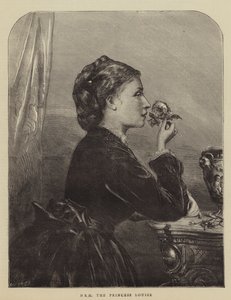 HRH princezna Louise (rytina) od English School