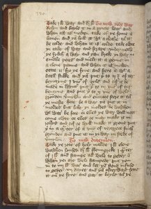 Harley MS 2378 Lékařské a kulinářské recepty, cca 1395 (inkoust na pergamenu) od English School
