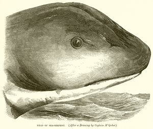 Hlava Sea-Serpent od English School