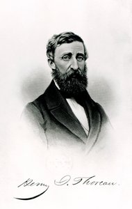 Henry David Thoreau (1817-62) od English School