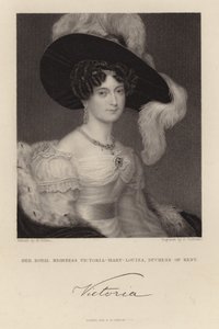 Její královská výsost Victoria Mary Louisa od English School
