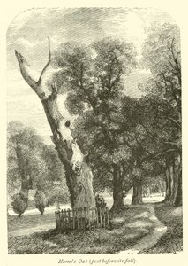 Hernes Oak, těsně před jeho pádem od English School