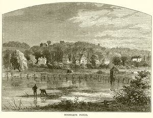 Highgate Ponds od English School
