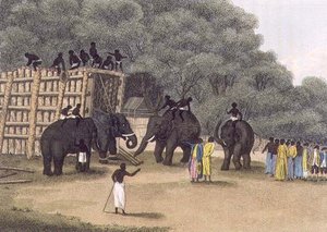 Past na slony Hindoo, hospoda. od Edwarda Orma od English School