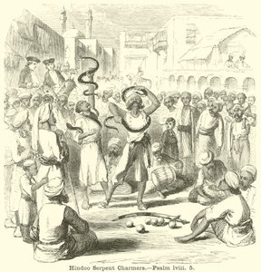 Hindoo Zaříkávače hadů, Žalm, lviii, 5 od English School