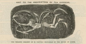 Hinweis an die Eigentümer von Teegärten