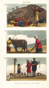 Historické pohledy na Švédsko od English School