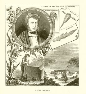 Hugh Miller od English School