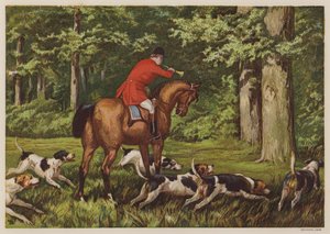 Lov s honiči (barva litho) od English School