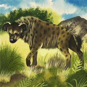 Hyena od English School