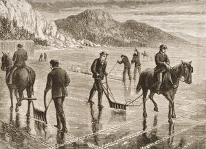 Ledová sklizeň na řece Hudson, stát New York, kolem roku 1870, z knihy "American Pictures", vydané The Religious Tract Society, 1876. od English School