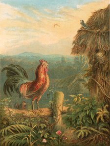 Ilustrace k Gray