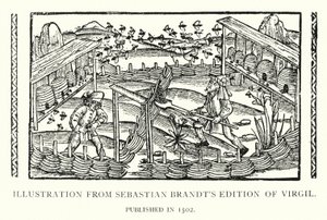Ilustrace z Edice Virgila Sebastiana Brandta, vydané v roce 1502 (litho) od English School