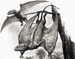 Ve dnech dinosaurů: Lovci z výšky od English School