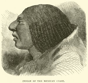 Indián z mexického pobřeží od English School
