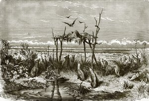 Indický hrob v prérii dlouhé trávy na řece Saskatchewan od English School