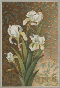 Iris (chromolit) od English School