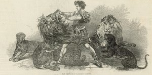 Isaac van Amburgh ve Vauxhall Gardens od English School