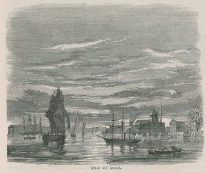 Isle of Dogs od English School