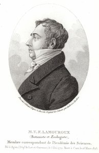 Jean Vincent Felix Lamouroux od English School