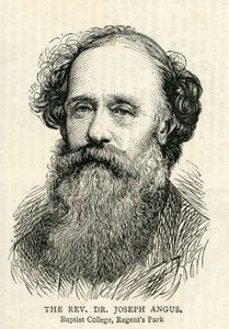 Joseph Angus (1816-1902) ilustrace z The Graphic 10th July, 1875 od English School