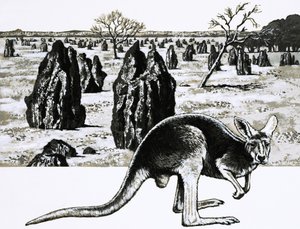 Velká termitiště poblíž Darwinu v Austrálii a klokan v popředí od English School