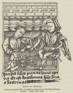 Přednáška z anatomie (rytina) od English School