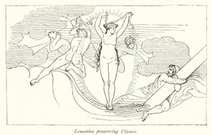 Leucothoe konzervující Ulysses (litho) od English School